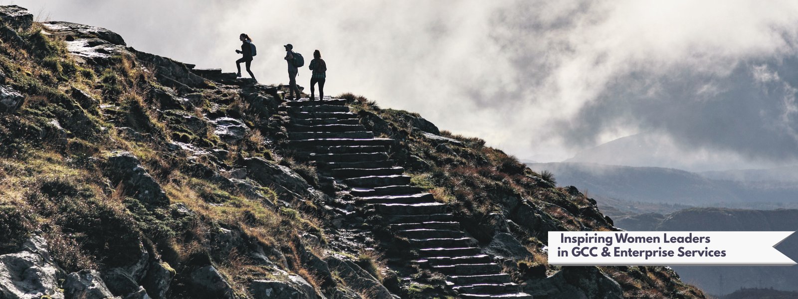 Coffee table_view_ver  Final images 5